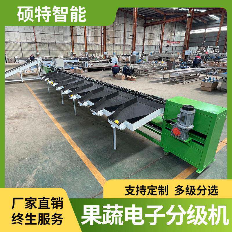 西红柿柠檬滚轮称重分选机苹果桔子双通道重量筛选选果机