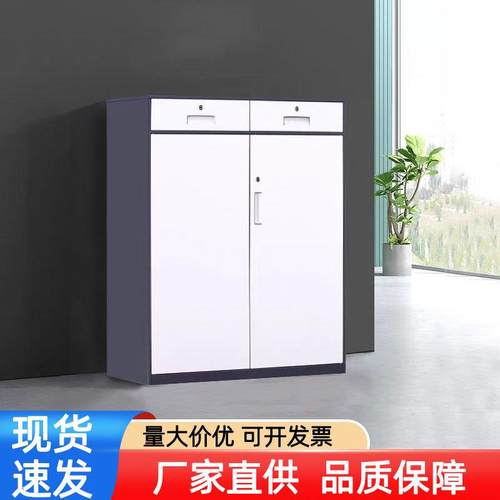 办公室文件柜铁皮柜财务资料档案柜钢制带锁储物柜凭证收纳柜矮柜