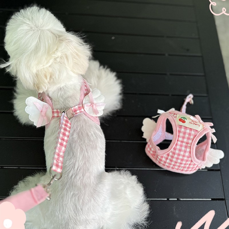 网红宠物猫咪狗狗牵引绳背心遛狗绳泰迪幼犬吉娃娃小型犬胸背带潮