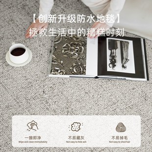 床边免洗可擦房间免打理家用轻奢高级感地垫 地毯客厅卧室2024新款