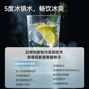 RO反渗透净水直饮一体矿泉净饮机 法国白朗制冷即热净水器家用台式