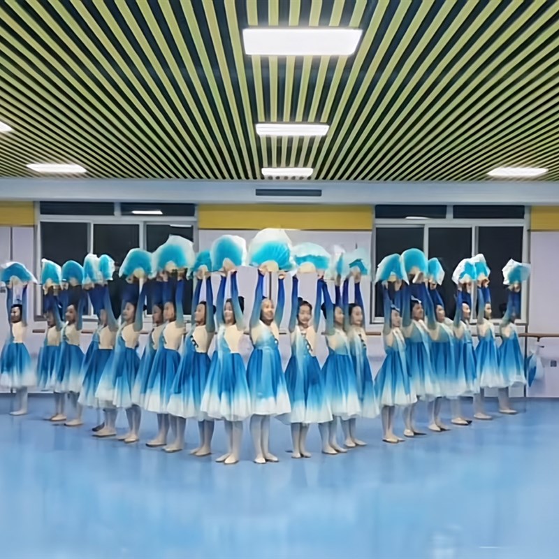 定做一条大河舞蹈源古典舞扇子舞服装演出服少儿群舞艺考演出服装