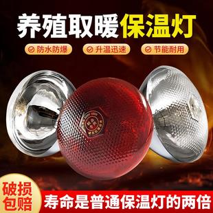 加厚防水防爆仔猪保温箱用灯泡养殖取暖灯猪牛羊鸡鸭用保温专用灯