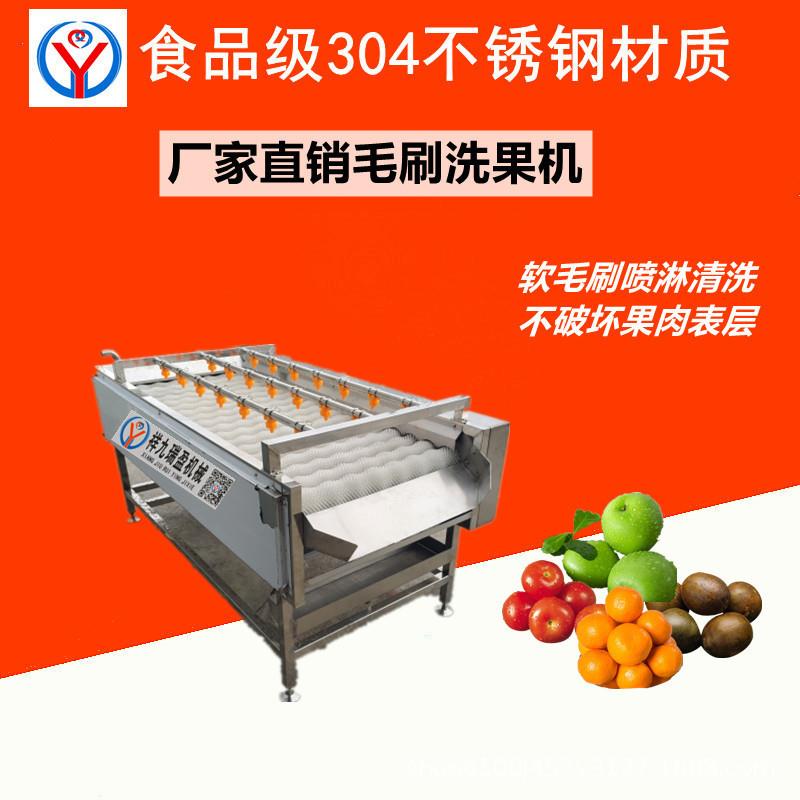 广州工厂版水果蔬菜用毛刷清洗机 304不锈钢土豆橙子清洗设备