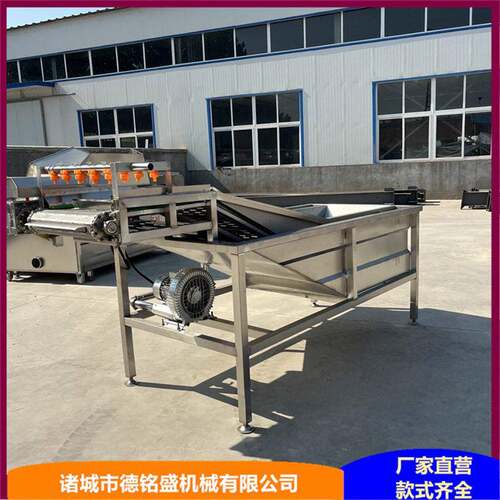 章鱼清洗流水线 DMS-2500海参气泡清洗机 鱿鱼煮锅