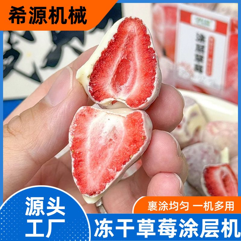 巧克力裹涂机 冻干草莓淋巧克力酱机器 全自动巧克力涂层机
