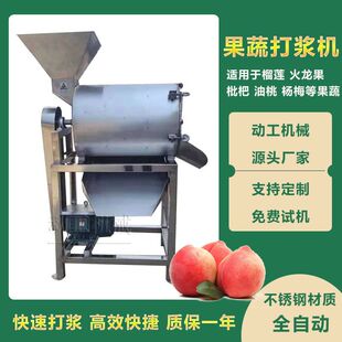 工业水果去皮去籽打浆机 商用玉米粒制浆机 不锈钢蔬菜打浆机