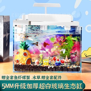 小型超白玻璃鱼缸桌面懒人免换水生态小鱼缸草全套迷你创意微景观