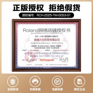 olnd罗兰E EE电吹管电萨克斯自带音源电子管乐