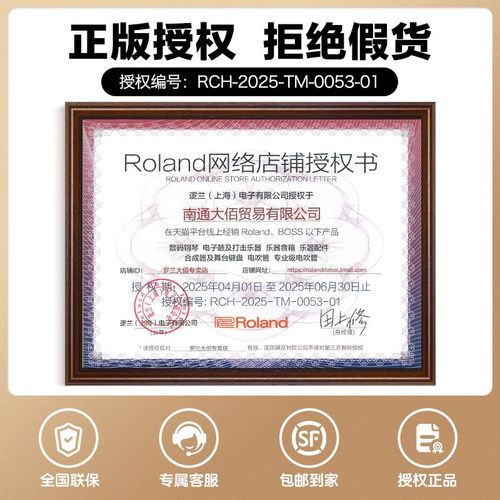 olnd罗兰E EE电吹管电萨克斯自带音源电子管乐