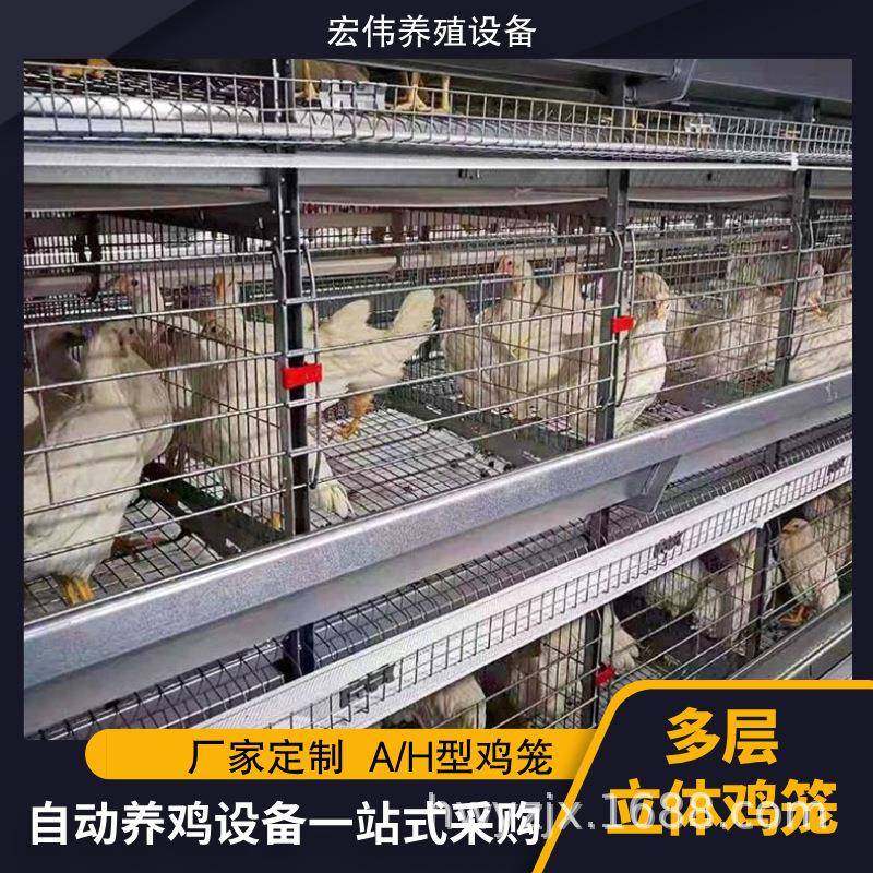 多层蛋鸡笼现代智能化养殖设备可做4层/3层养殖热镀锌养鸡笼,畜牧/养殖物资,特种养殖设备,淘宝优惠券,粉丝福利购,淘宝优惠卷