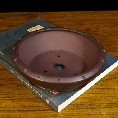 新款紫砂花盆文人专用盆景盆精品多肉菖蒲云竹金弹子绿植桌台室内