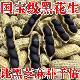2026新货云南特产富硒黑花生带壳黑花生紫衣花生黑衣新货营养丰富