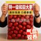 新货正宗和田大枣红枣特级新疆特产官方旗舰店补气一级养血女去核
