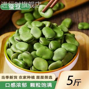 精选新货5斤装 绿胡豆可发芽做油炸罗汉豆莲花豆 绿皮干蚕豆生