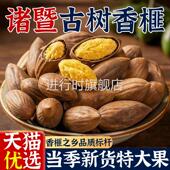 诸暨古树香榧特大果当季 官方旗舰店 新货自然本味孕妇小孩零食正品