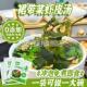 海带即食汤裙带菜虾皮汤料包旗舰店低脂代餐冲泡即食独立小包装