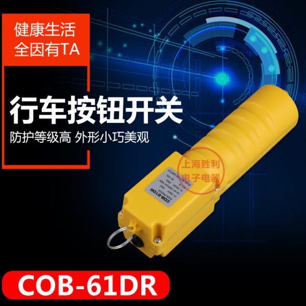 COB-61R (COP-21R) 30UF 行车开关 电葫芦 COB-61DR 带电容