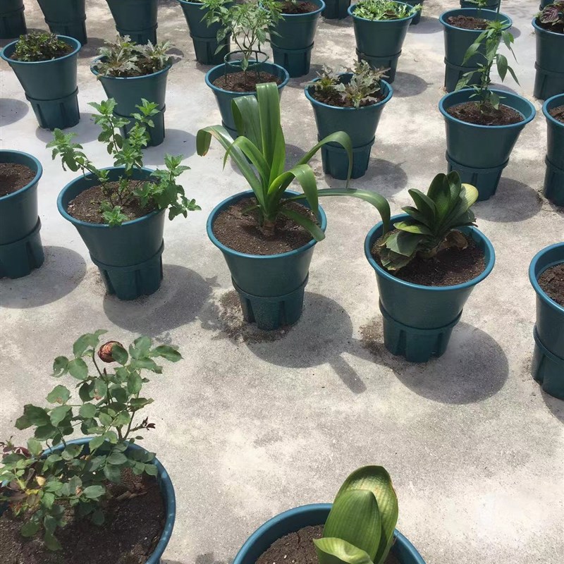 自动化草莓黄瓜番茄生菜韭菜花卉二培双桶种植箱无土栽培设备盆栽