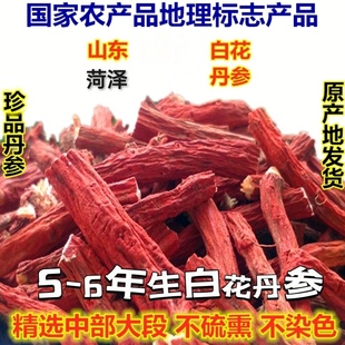 正品山东白花丹参中药材新鲜干货纯天然无硫丹参野生丹人参枸杞