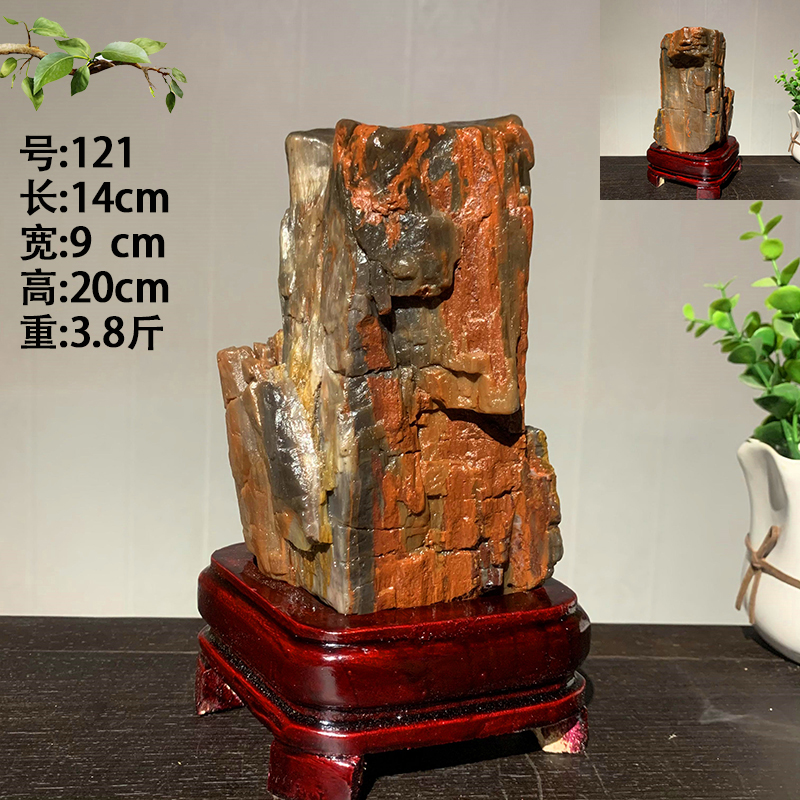 天然木化石原石硅化木树化玉石头观赏石奇石玉石家居装饰收藏摆件