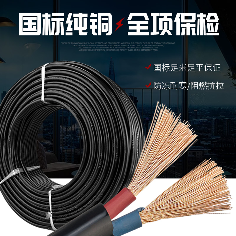 国标纯铜2芯足1.5/2.5/4/6平方电线电缆线户外防冻护套线电源软线