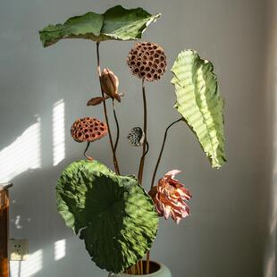 莲蓬干花花束客厅摆设真花风干天然高级感落地荷花荷叶装饰摆件