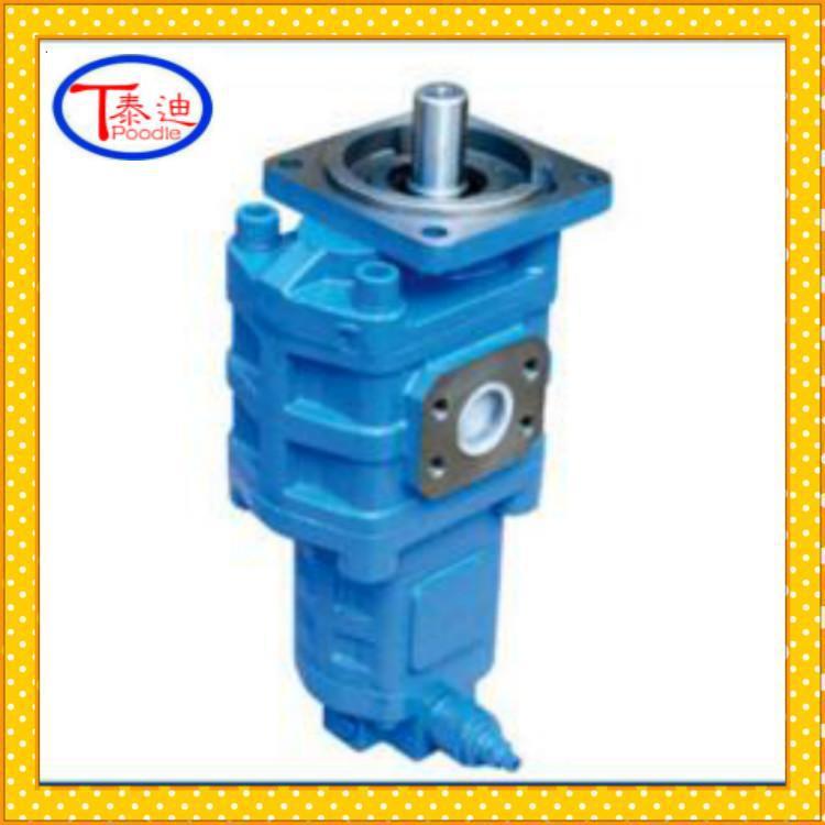 CBGj2100/1032-XFCBGj2100/1025-XF双联齿轮泵