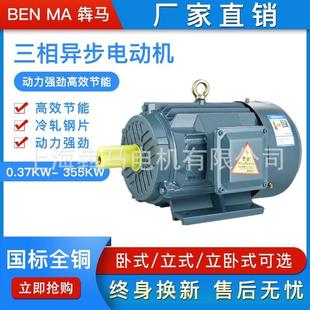 Y250M 455w三相异步电动机380v YE2 国标铜线电机YE3