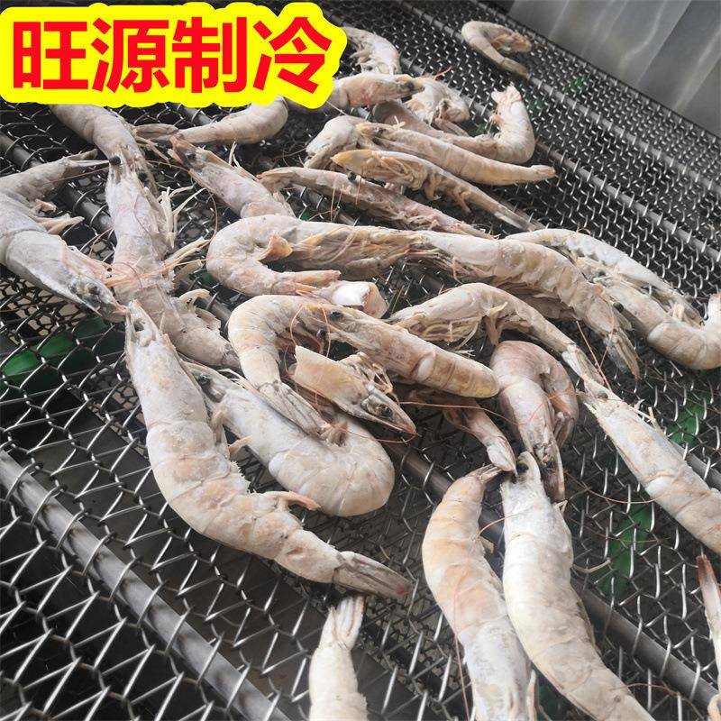 快速冻结的撒尿牛肉丸速冻设备羊肉牛肉速冻机厂家价格急冻