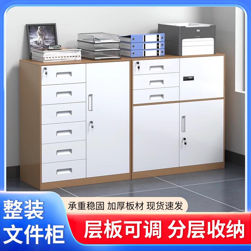 钢制档案文件柜办公室收纳铁皮柜资料柜抽屉式带锁家用储物柜矮柜