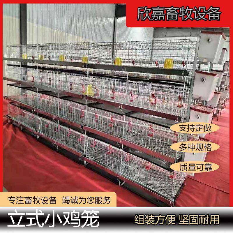 立式小鸡笼育雏鸡青年鸡冷镀锌后热镀锌四层两门家用养殖场鸡舍,畜牧/养殖物资,特种养殖设备,淘宝优惠券,粉丝福利购,淘宝优惠卷