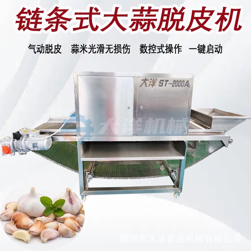 链条式大蒜脱皮机高产量蒜米加工设备厂家无损伤新型大蒜去皮设备