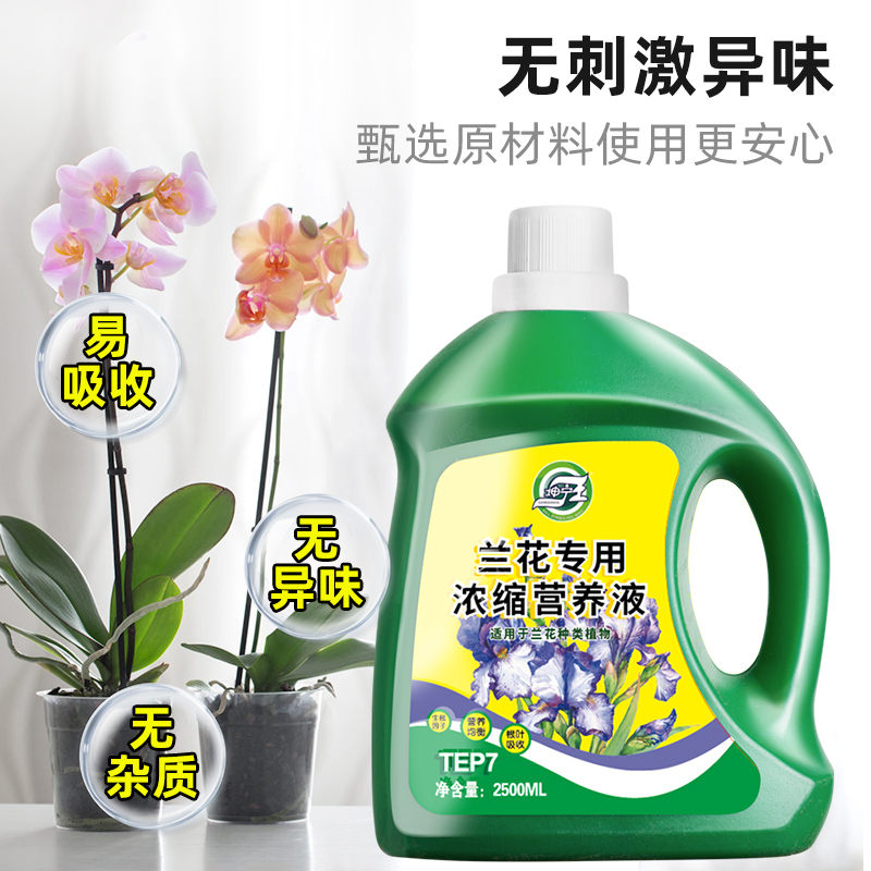 坤宁王兰花专用肥兰灵王营养液兰科君子兰墨兰蝴蝶兰促开花有机肥