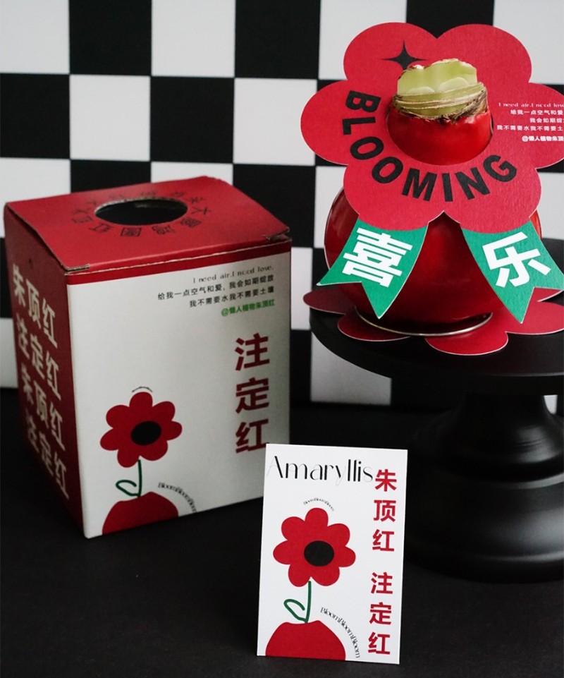 新年花束装饰富贵朱顶红盒子包装礼盒空盒礼盒装礼品盒吊牌养护