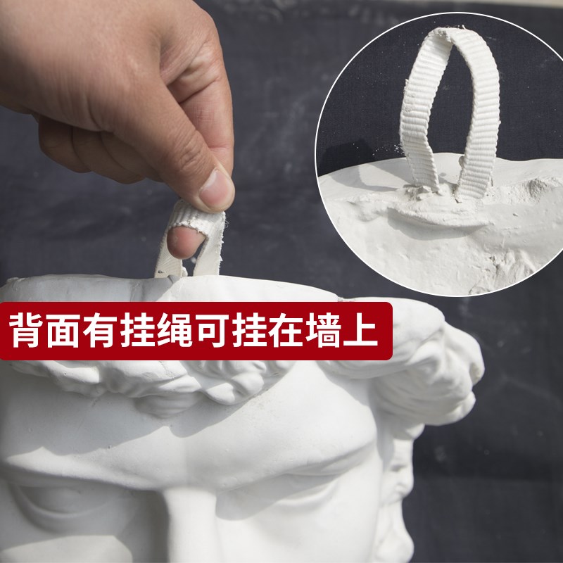 挂墙半面切面人物石膏像雕塑素描写生教具亚历山大画室环创墙摆件