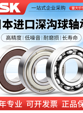 日本进口NSK高速轴承6006 6007 6008 6009 6010VV6011ZZ DDUC3 RS