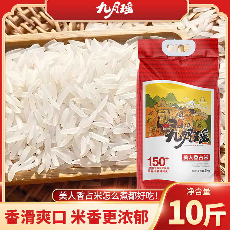 九月瑶美人香占米5KG象牙香米长粒香米粘米煲仔饭南方籼米丝苗米