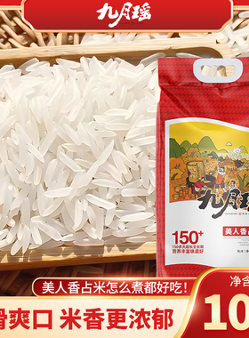 九月瑶美人香占米10KG象牙香米长粒香米粘米煲仔饭丝苗米南方籼米