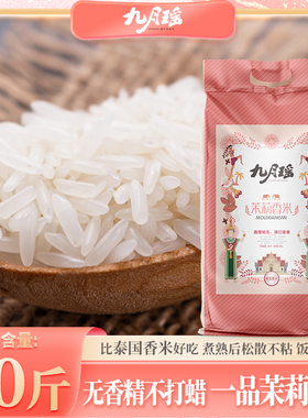 九月瑶25kg茉莉香米鲜大米批发南方长粒香米晚稻新米丝苗米煲仔饭