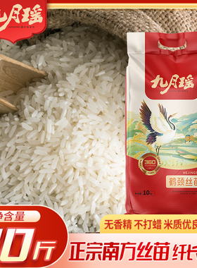 九月瑶鹤颈丝苗米50斤当季新米长粒香米象牙米猫牙米饭店家庭专用