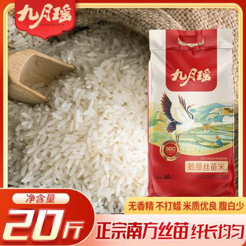 九月瑶鹤颈丝苗米50斤当季新米长粒香米象牙米猫牙米饭店家庭专用