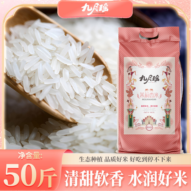 九月瑶25kg茉莉香米鲜大米批发南方长粒香米晚稻新米丝苗米煲仔饭