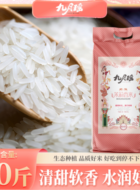 九月瑶25kg茉莉香米鲜大米批发南方长粒香米晚稻新米丝苗米煲仔饭