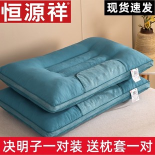 带枕套家用助睡眠护颈椎学生宿舍夏男 枕头枕芯决明子荞麦一对s装