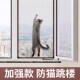 纱防猫跳楼内防猫咪抓封网自装 金刚网防蚊透沙网