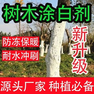 树木涂白剂防虫树木涂白粉果树涂白剂树干保暖防冻石灰粉园林