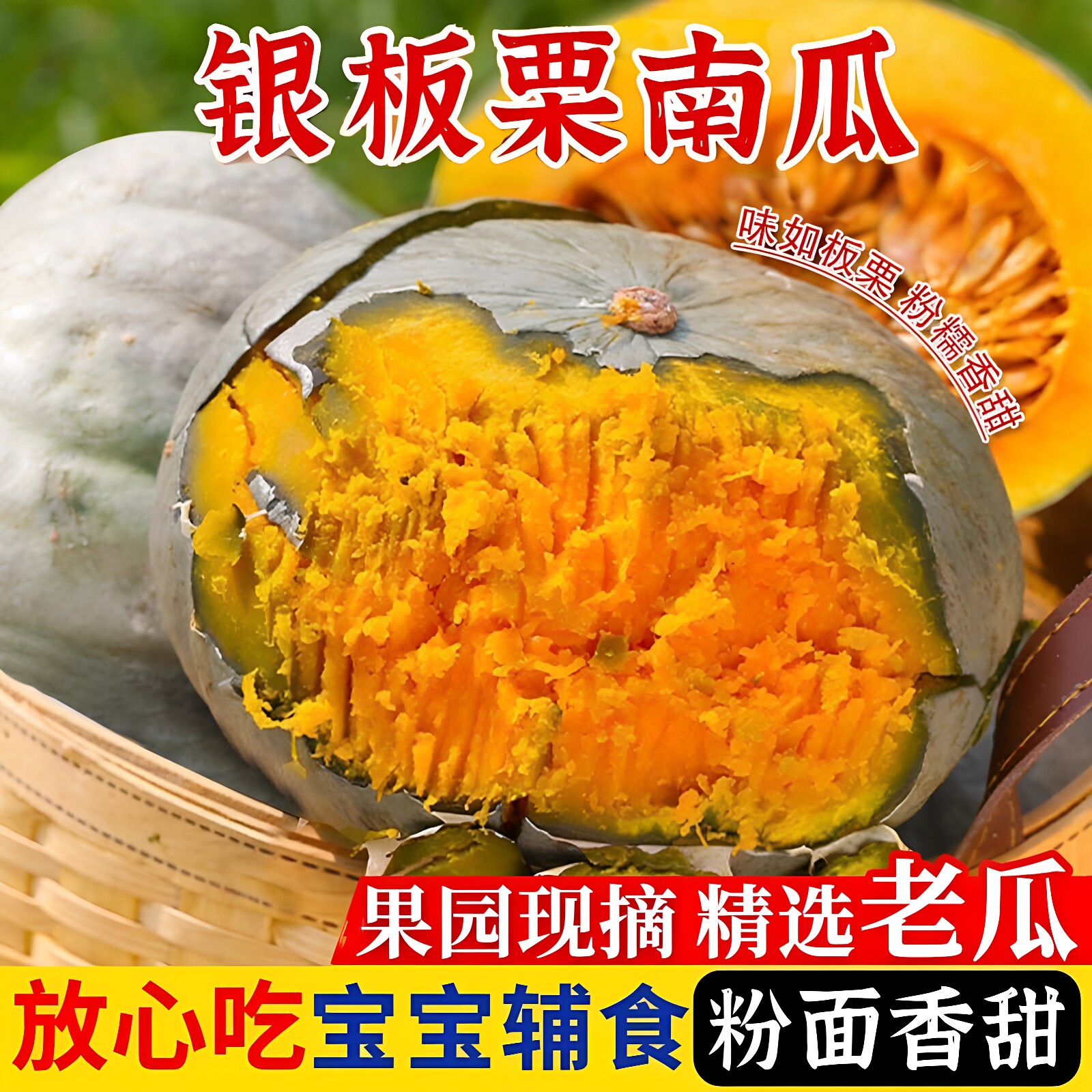 当季现摘银栗南瓜板栗味