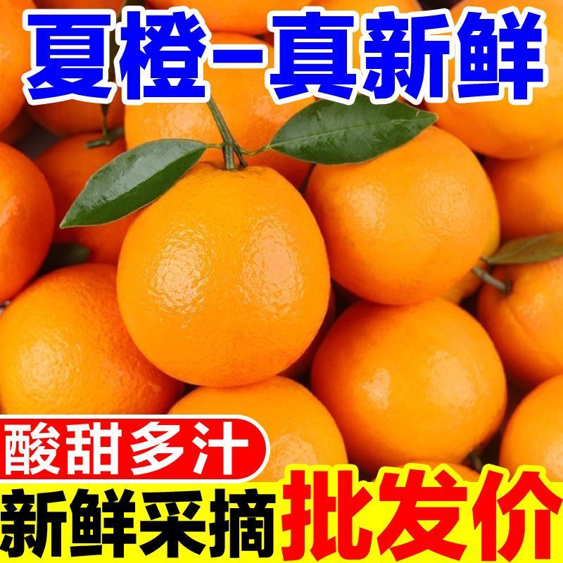 正宗广西夏橙当季现摘酸甜可口
