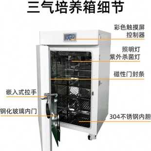 三气培养箱低氧胚胎培养箱缺氧细胞恒温箱多种混合气体培养箱设备